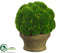 Silk Plants Direct Moss Ball - Green - Pack of 4