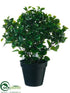 Silk Plants Direct Peperomia Ball Topiary - Green - Pack of 2
