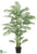 Areca Palm Tree - Green Two Tone - Pack of 2