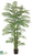 Areca Palm Tree - Green Two Tone - Pack of 2