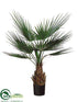 Silk Plants Direct Fan Palm Tree - Green Two Tone - Pack of 2