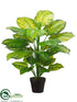 Silk Plants Direct Evergreen Plant - Green Light - Pack of 4