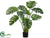 Split Philodendron Leaf Plant - Green Two Tone - Pack of 2
