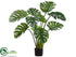 Silk Plants Direct Split Philodendron Leaf Plant - Green Two Tone - Pack of 2