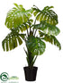 Silk Plants Direct Split Philodendron Plant - Green - Pack of 1