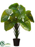 Silk Plants Direct Philodendron Tree - Green - Pack of 1