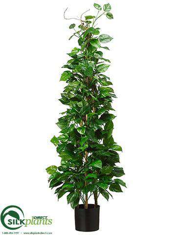 pothos topiary Silk Plants Direct Pothos Topiary - Green Cream
