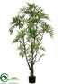 Silk Plants Direct Outdoor Ming Aralia Tree - Green - Pack of 2