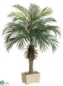 Silk Plants Direct Phoenix Palm Tree - Green - Pack of 1