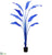 Traveller Palm Plant - Blue - Pack of 2