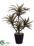 Silk Plants Direct Dracaena Plant - Green Red - Pack of 6