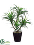 Silk Plants Direct Dracaena Plant - Green Variegated - Pack of 6