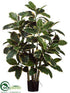 Silk Plants Direct Rubber Leaf Plant - Variegated - Pack of 2