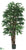 Rhapis Palm Tree - Green Two Tone - Pack of 2