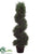 Rosemary Topiary Spiral - Green - Pack of 2