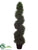 Rosemary Topiary Spiral - Green - Pack of 2