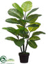 Silk Plants Direct Rubber Plant - Green - Pack of 4