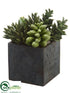 Silk Plants Direct Succulent Garden Arrangement - Green - Pack of 4