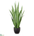 Silk Plants Direct Sansevieria Plant - Green - Pack of 2