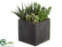Silk Plants Direct Succulent Garden Arrangement - Green - Pack of 4