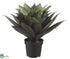 Silk Plants Direct Agave Plant - Green - Pack of 1