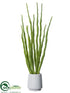 Silk Plants Direct Snake Plant - Green - Pack of 2