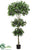 Shikiba Triple Ball Topiary - Green - Pack of 2