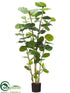Silk Plants Direct Sea Grape Plant - Green - Pack of 2