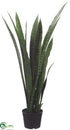 Silk Plants Direct Sansevieria Plant - Green Two Tone - Pack of 2