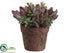 Silk Plants Direct Succulent Garden - Green Burgundy - Pack of 6