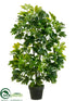 Silk Plants Direct Schefflera Plant - Green - Pack of 2