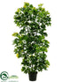 Silk Plants Direct Schefflera Plant - Green - Pack of 2