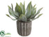 Silk Plants Direct Agave - Green Gray - Pack of 6