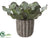 Silk Plants Direct Cabbage Succulent - Green Gray - Pack of 4