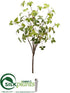 Silk Plants Direct Shrub Tree - Green - Pack of 4