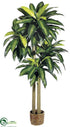 Silk Plants Direct Large Dracaena Plant - Green - Pack of 2