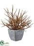 Silk Plants Direct Twig - Brown Gray - Pack of 6