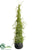 Twig Topiary Cone - Green - Pack of 4