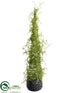 Silk Plants Direct Twig Topiary Cone - Green - Pack of 4