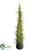 Twig Topiary Cone - Green - Pack of 4