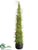 Twig Topiary Cone - Green - Pack of 2