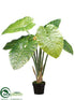 Silk Plants Direct Taro Plant - Green - Pack of 4