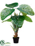 Silk Plants Direct Taro Plant - Green - Pack of 2