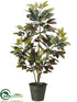 Silk Plants Direct Croton Tree - Green - Pack of 2
