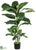 Evergreen Plant - Green - Pack of 4