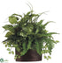 Silk Plants Direct Boston Fern, Pothos, Grass, Syngonium - Green Two Tone - Pack of 4