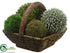Silk Plants Direct Moss, Baby's Tear, Eucalyptus Seed Ball - Green - Pack of 1