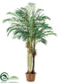 Silk Plants Direct Robellini Palm Tree - Green - Pack of 1