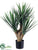 Silk Plants Direct Yucca Plant - Green Frosted - Pack of 2