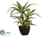 Silk Plants Direct Dracaena Plant - Green Gray - Pack of 4